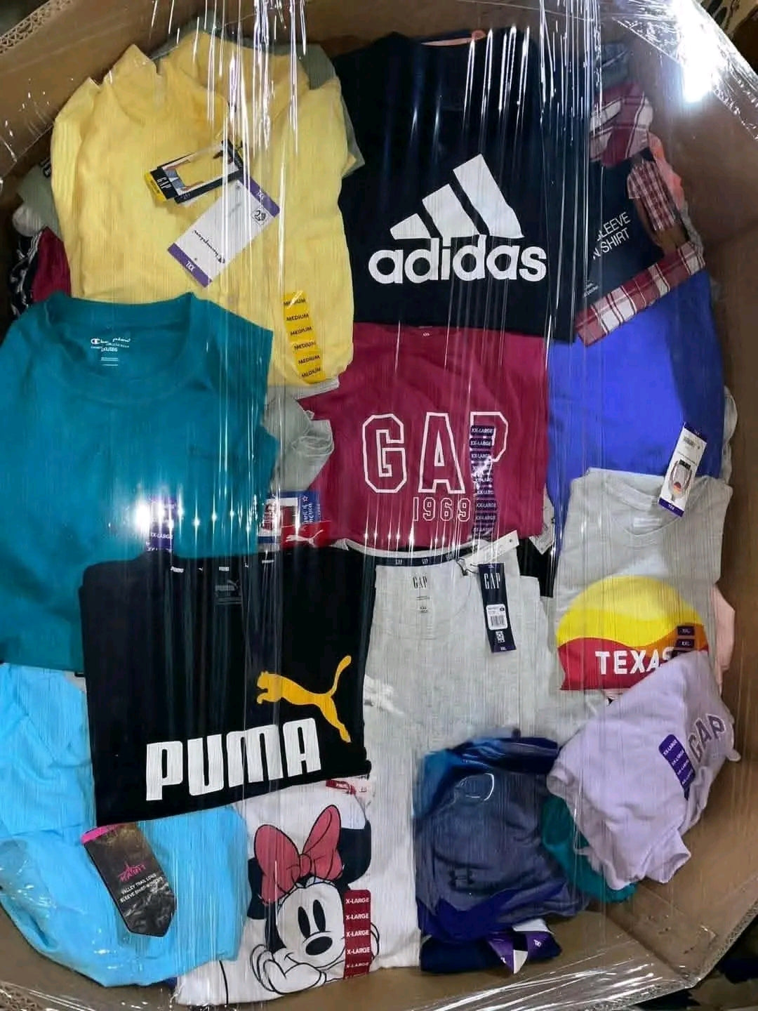 Palettes de Vêtements Multi-Marques Neufs (GAP, Adidas, Puma, CK, Disney...)