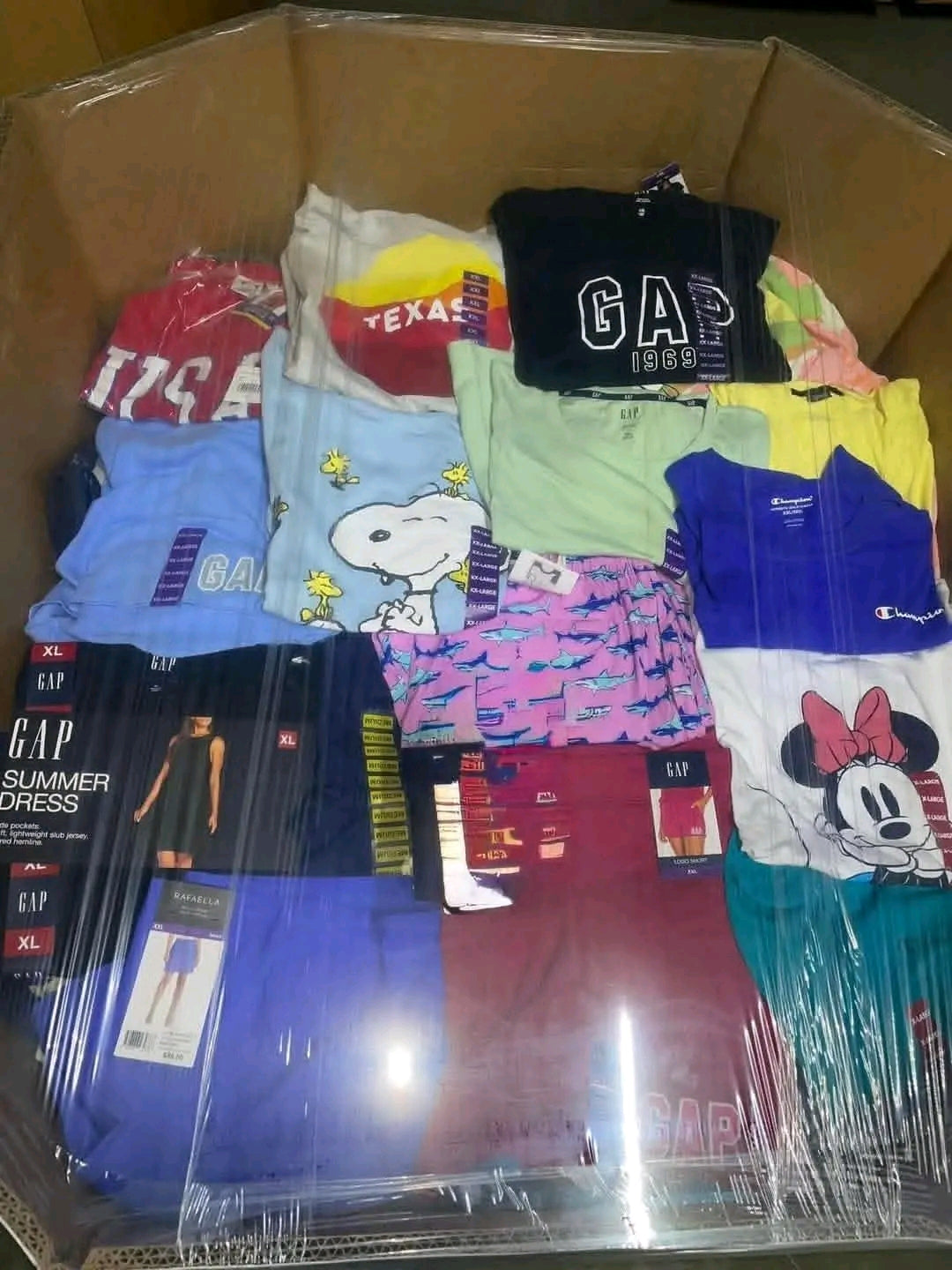 Palettes de Vêtements Multi-Marques Neufs (GAP, Adidas, Puma, CK, Disney...)